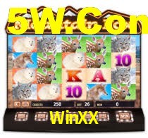 Explore as vantagens do WinXX: serviço profissional e confiabilidade